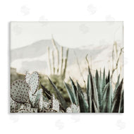 Krista Broadway | Desert Cacti Photography