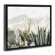 Krista Broadway | Desert Cacti Photography