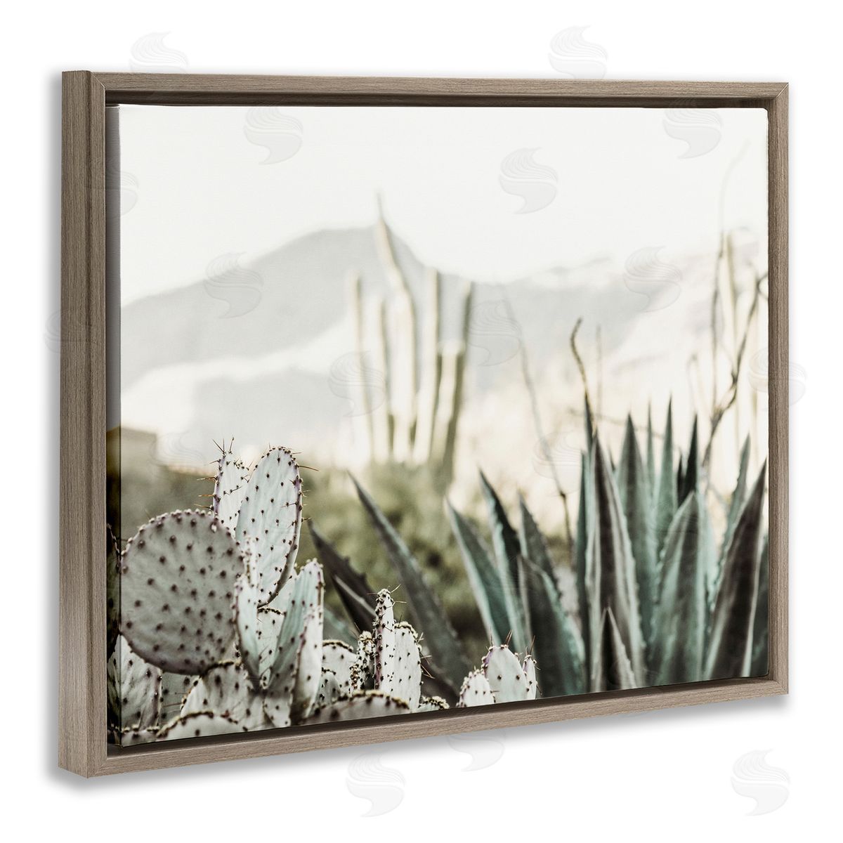 Krista Broadway Desert Cacti Photography Brown Floater Frame Canvas Artside_