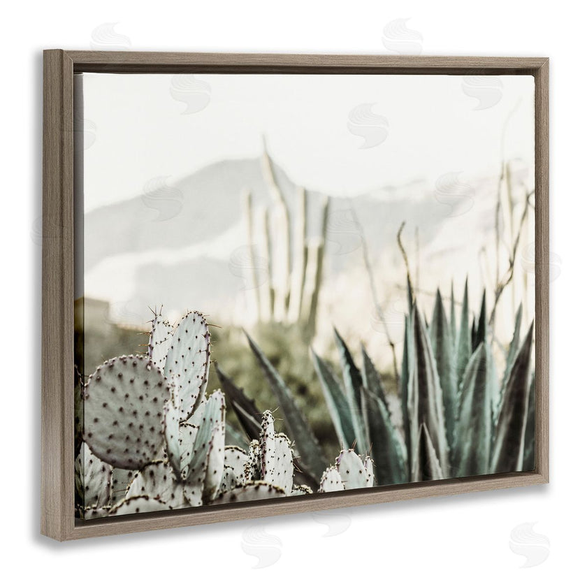Krista Broadway | Desert Cacti Photography