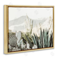 Krista Broadway | Desert Cacti Photography