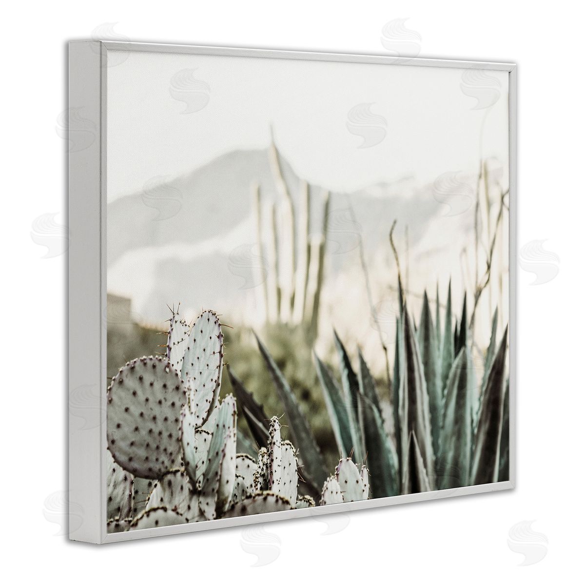 Krista Broadway Desert Cacti Photography White Framed Giclee Wall Artside_