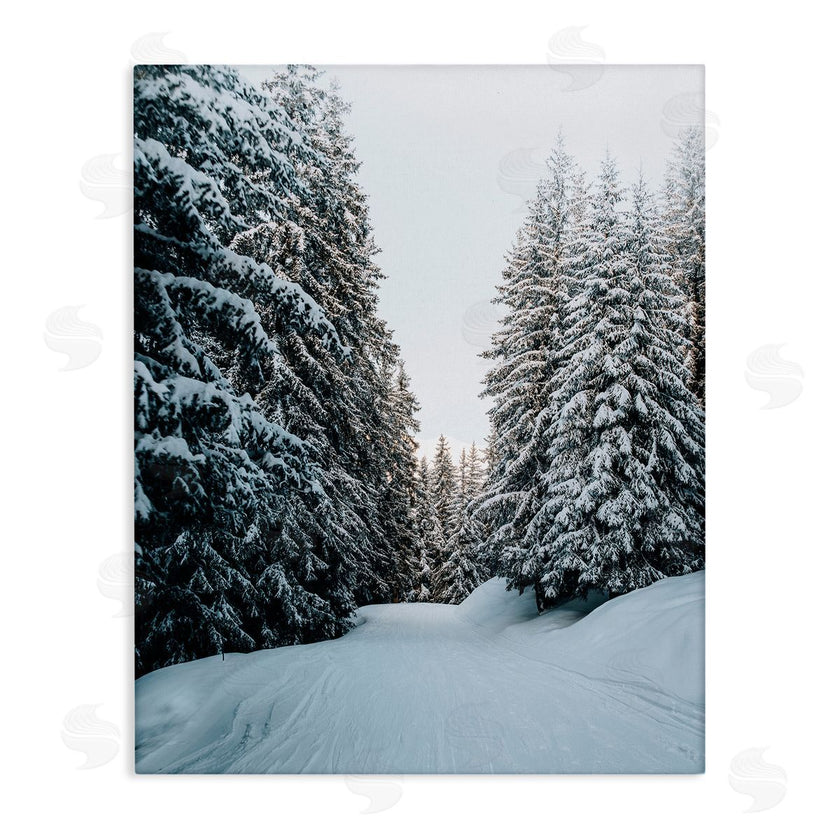 Incado | Snowy Ski Slopes