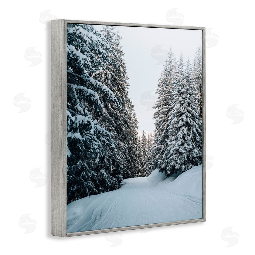 Incado | Snowy Ski Slopes