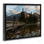 Daniel Sproul | Forest Bridge Photography