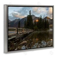 Daniel Sproul | Forest Bridge Photography