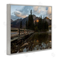 Daniel Sproul | Forest Bridge Photography