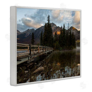 Daniel Sproul | Forest Bridge Photography