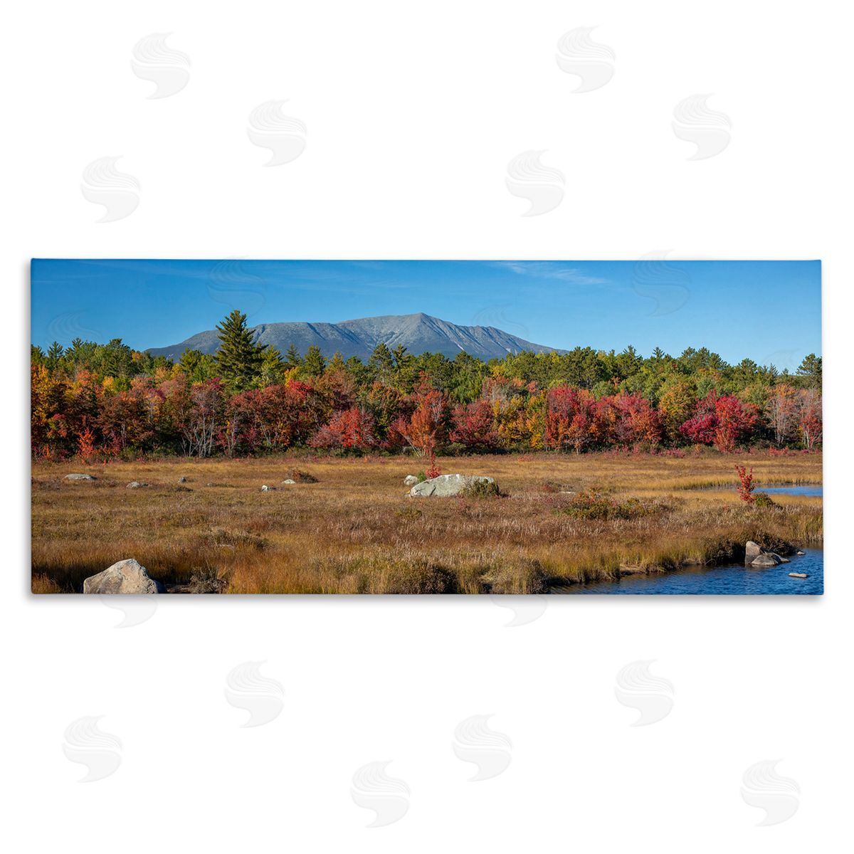 Daniel Sproul | Woodland Stream Landscape