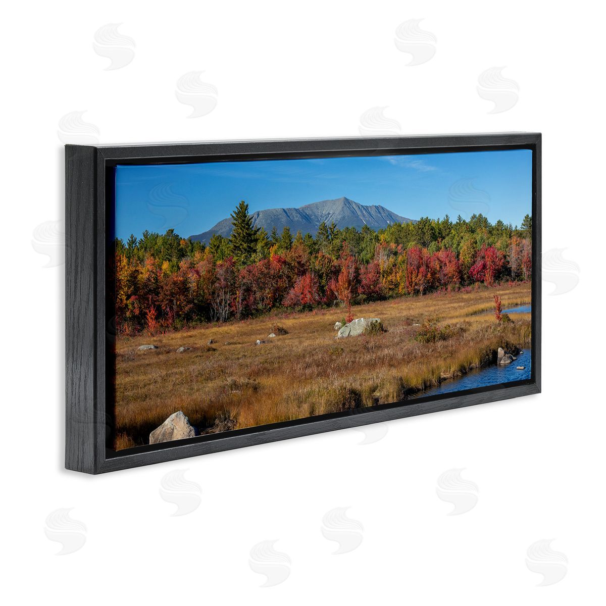 Daniel Sproul Woodland Stream Landscape Black Floater Frame Canvas Artside_