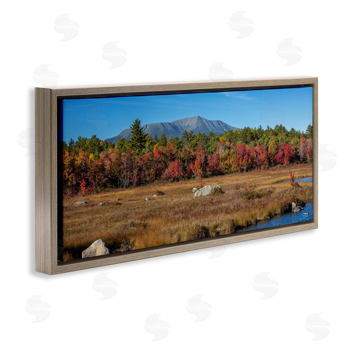 Daniel Sproul | Woodland Stream Landscape