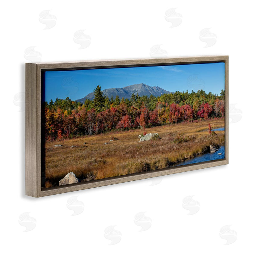 Daniel Sproul | Woodland Stream Landscape
