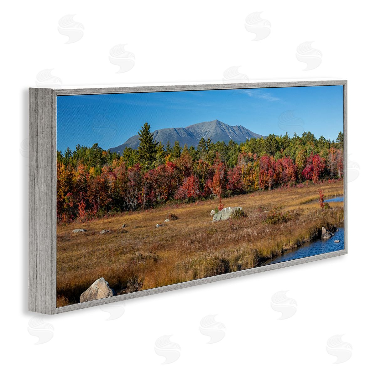 Daniel Sproul | Woodland Stream Landscape