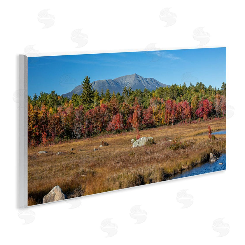 Daniel Sproul | Woodland Stream Landscape