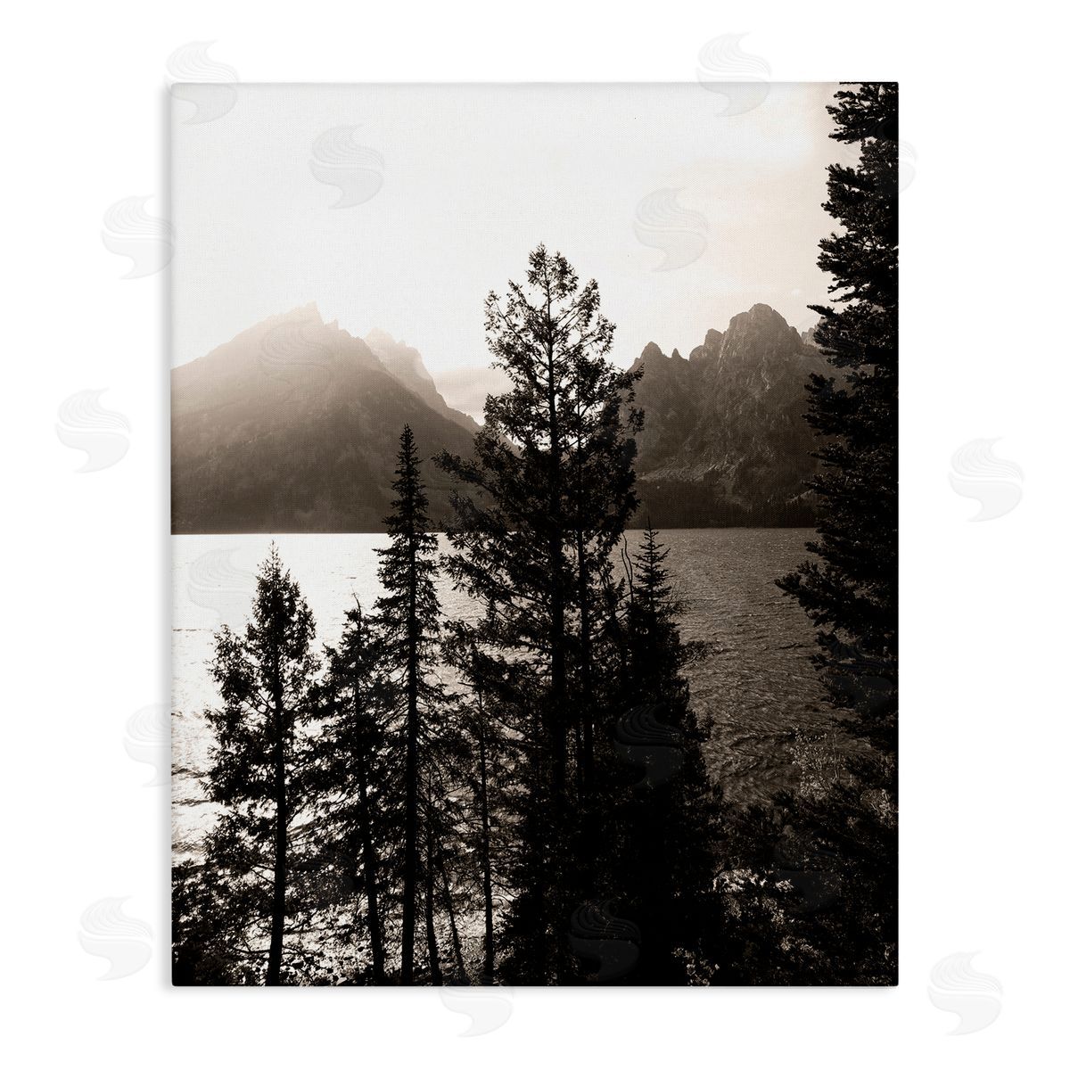 Daniel Sproul Trees & Lake View Canvas Wall Art