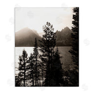Daniel Sproul | Trees & Lake View