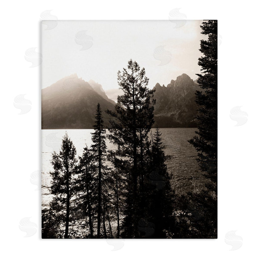 Daniel Sproul | Trees & Lake View