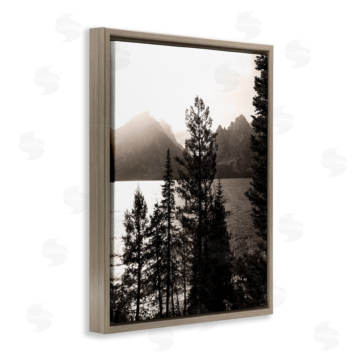 Daniel Sproul Trees & Lake View Brown Floater Frame Canvas Artside_