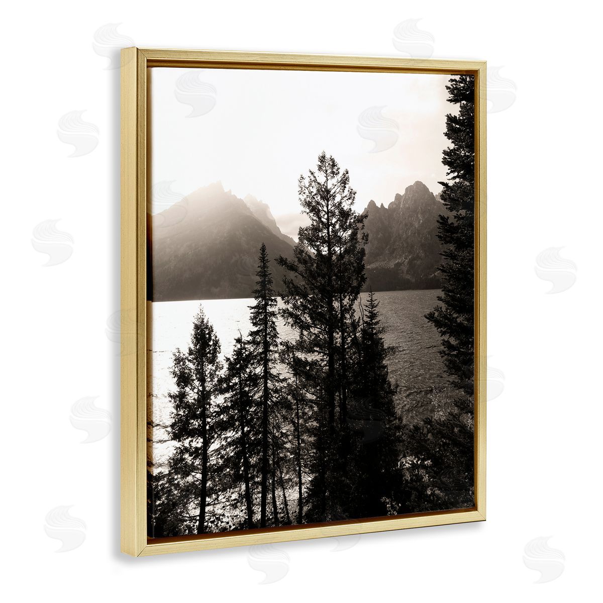Daniel Sproul | Trees & Lake View