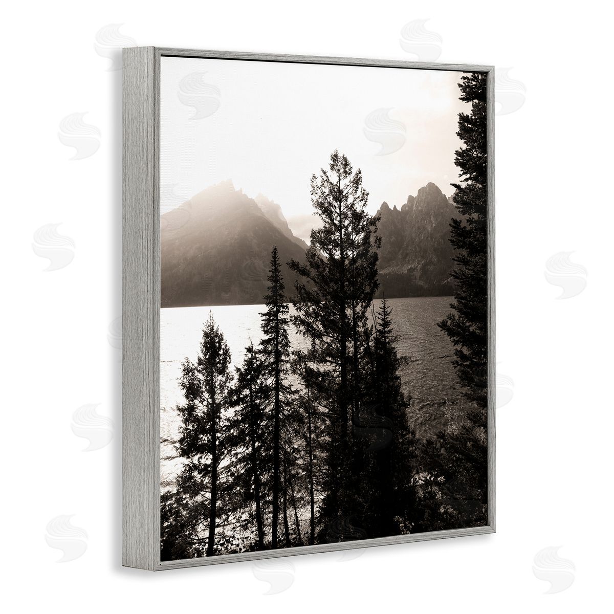 Daniel Sproul Trees & Lake View Gray Framed Giclee Wall Artside_