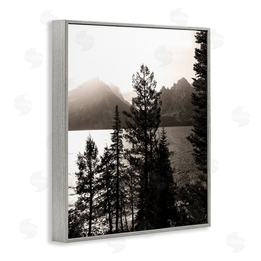 Daniel Sproul | Trees & Lake View