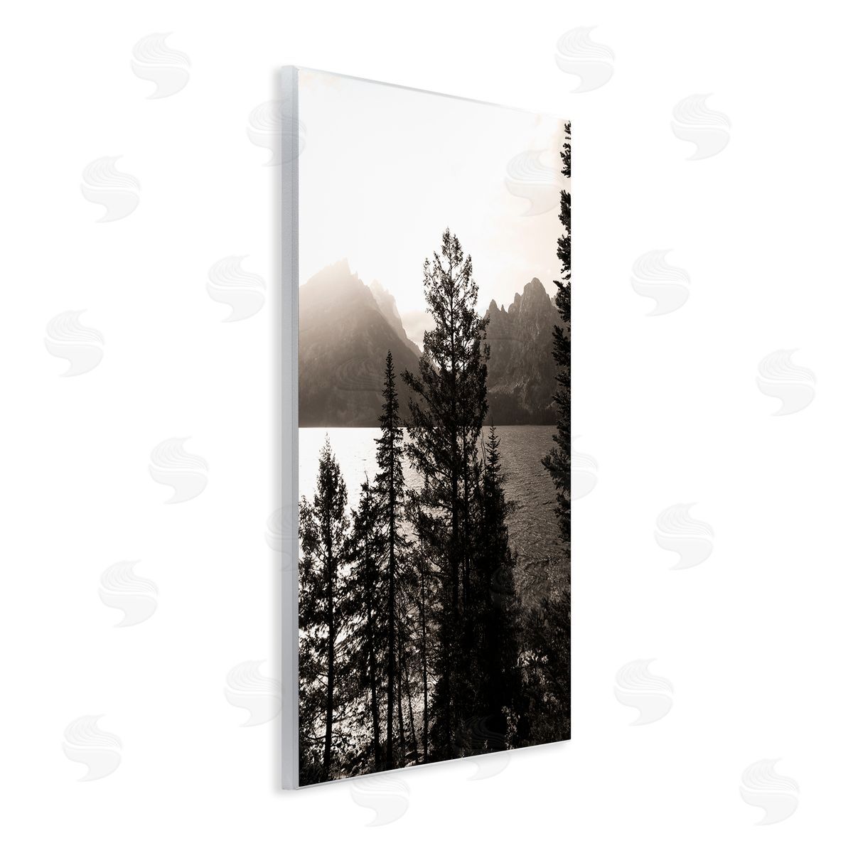 Daniel Sproul | Trees & Lake View