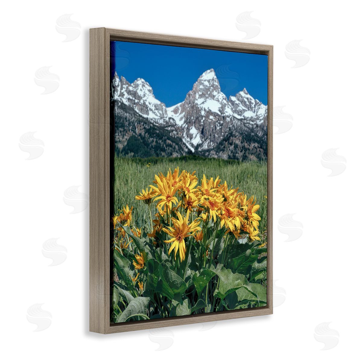 Daniel Sproul Daisies & Mountain Peaks Brown Floater Frame Canvas Artside_