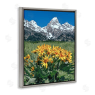 Daniel Sproul | Daisies & Mountain Peaks