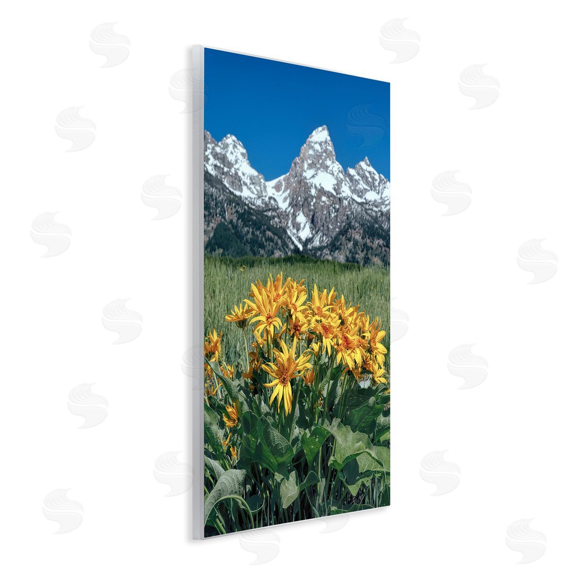 Daniel Sproul Daisies & Mountain Peaks Wall Plaque Artside_