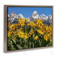 Daniel Sproul | Daisy Meadow & Mountains