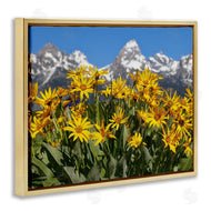 Daniel Sproul | Daisy Meadow & Mountains