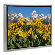 Daniel Sproul | Daisy Meadow & Mountains