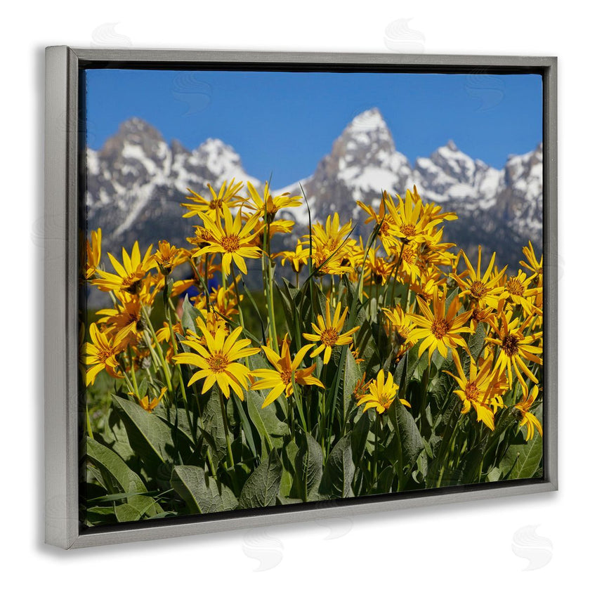 Daniel Sproul | Daisy Meadow & Mountains