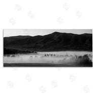 Daniel Sproul | Foggy Woodland Nature
