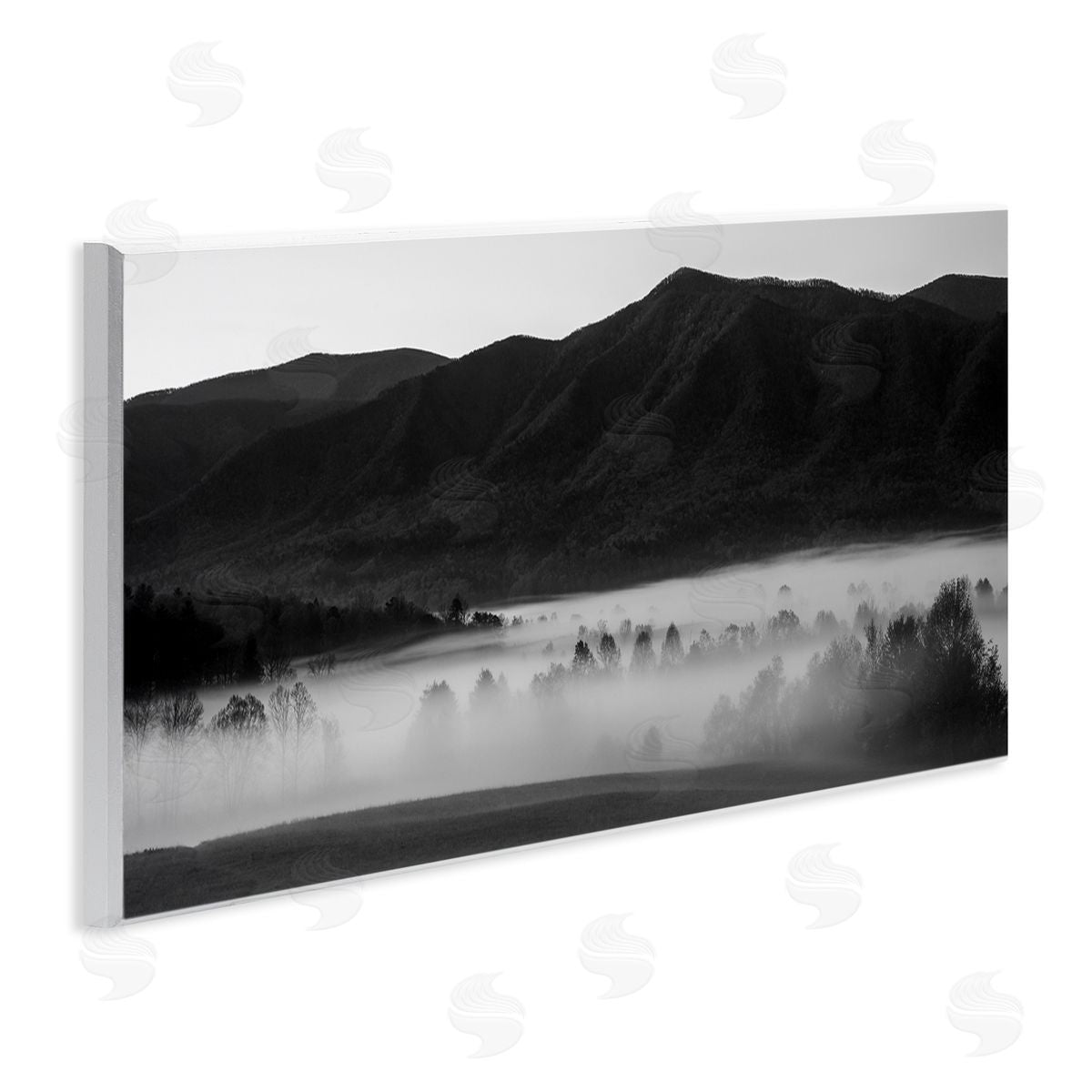 Daniel Sproul | Foggy Woodland Nature