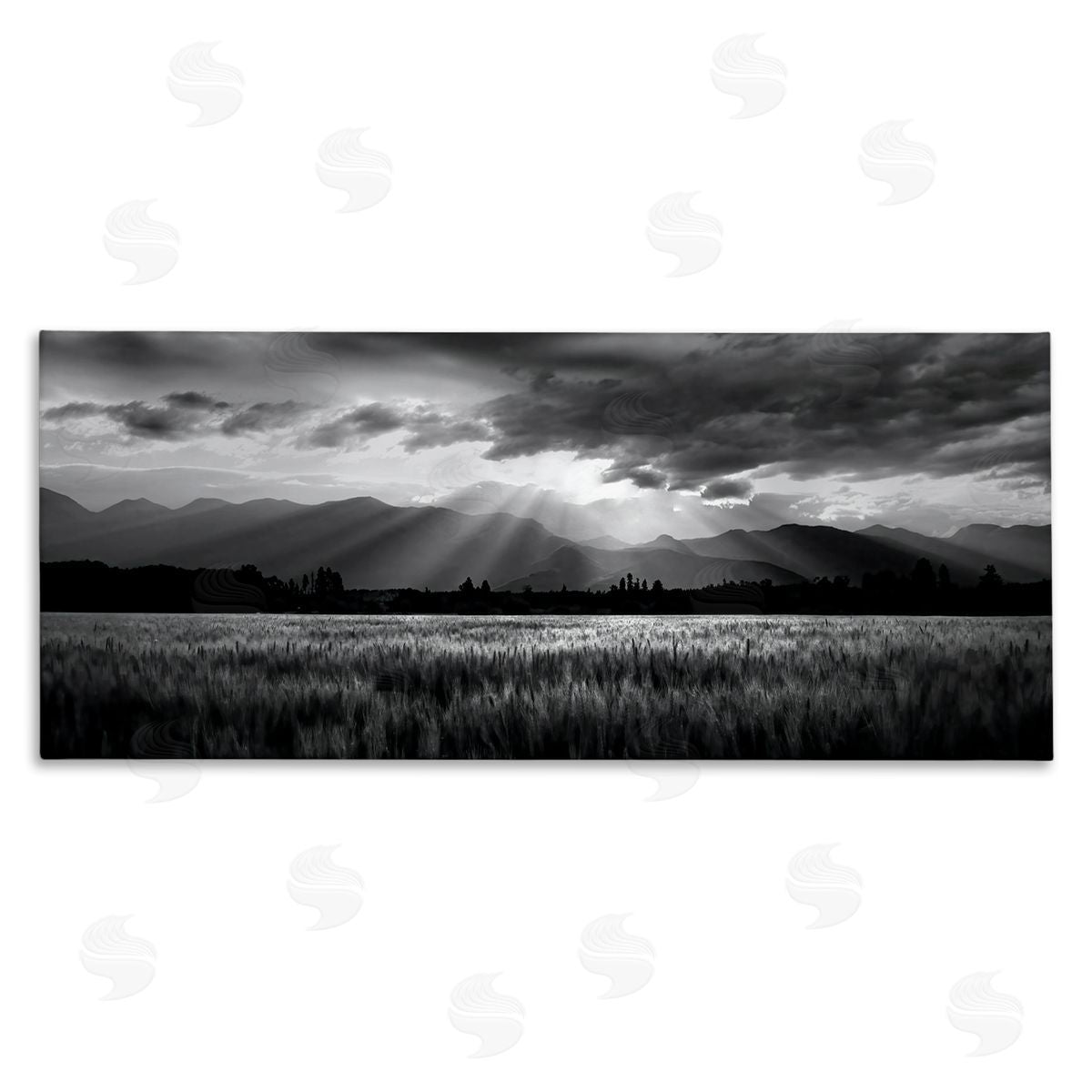 Steve Toole Sun Rays Field Landscape Canvas Wall Art