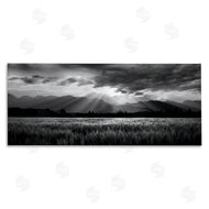 Steve Toole | Sun Rays Field Landscape