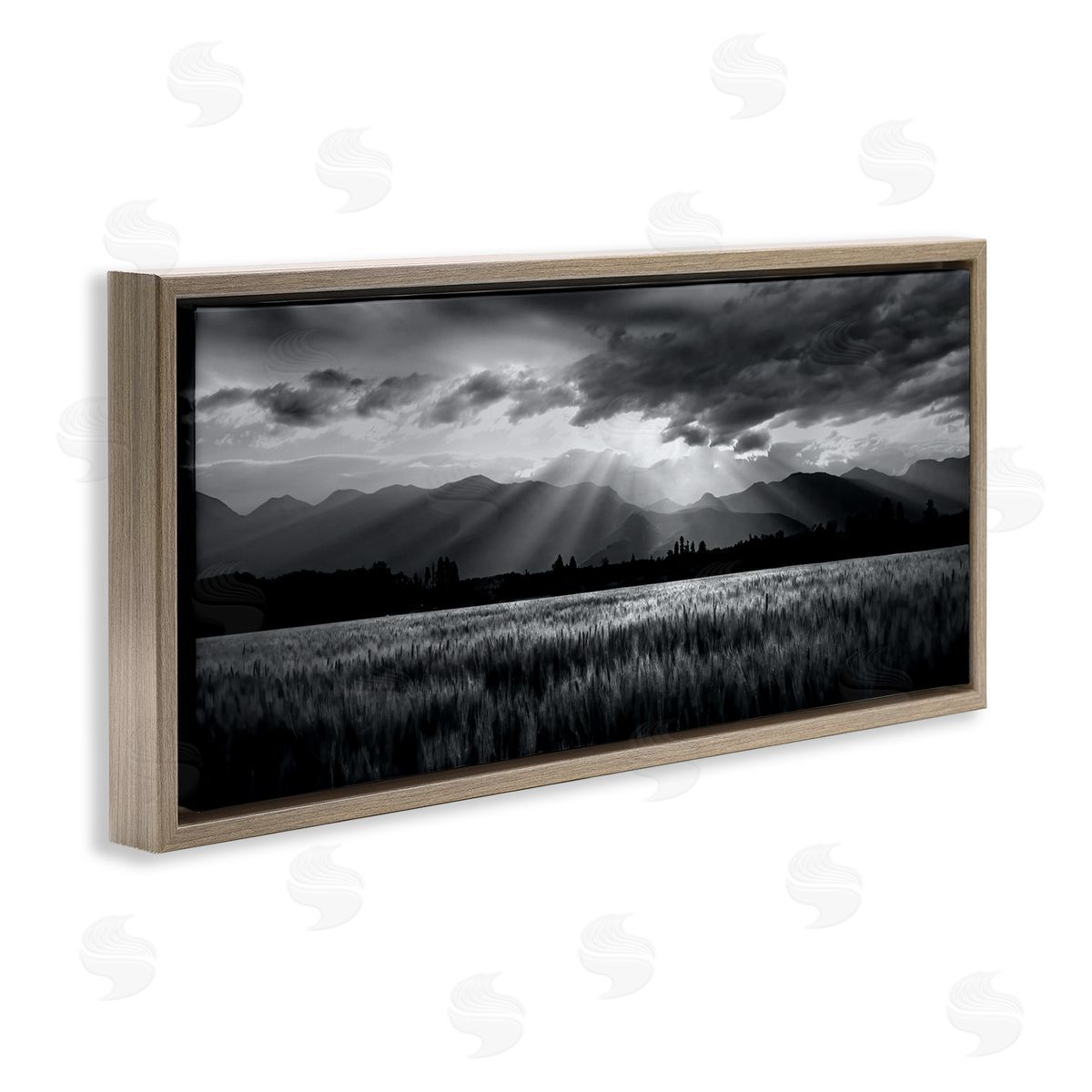 Steve Toole | Sun Rays Field Landscape