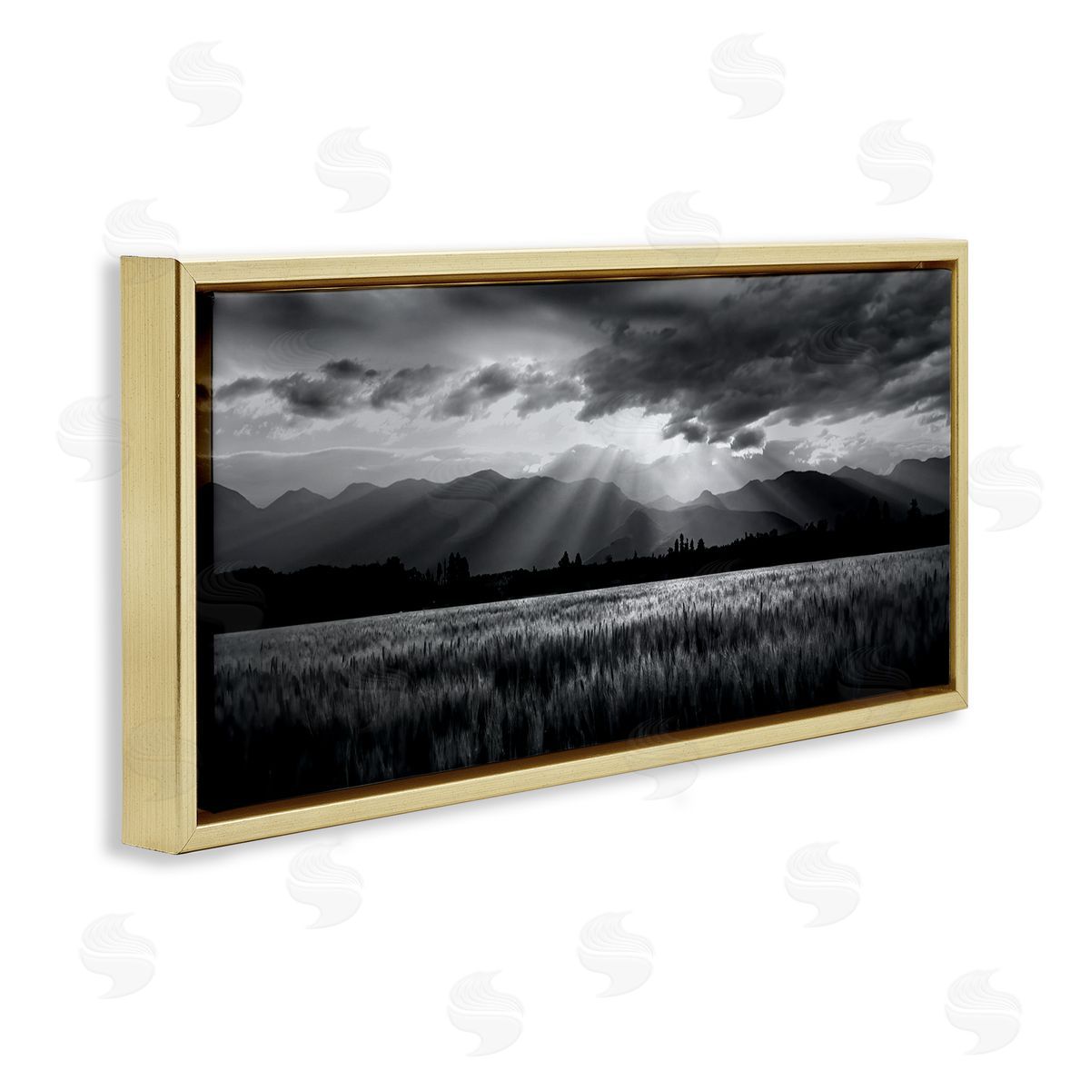 Steve Toole | Sun Rays Field Landscape