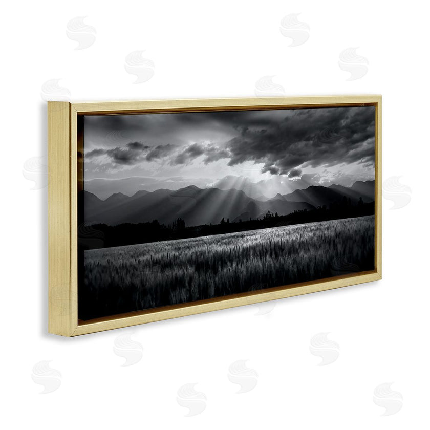 Steve Toole | Sun Rays Field Landscape