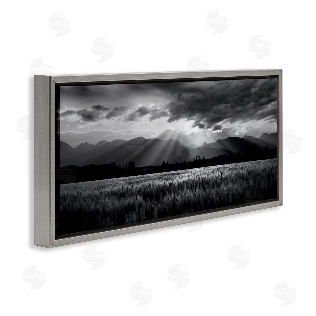 Steve Toole | Sun Rays Field Landscape