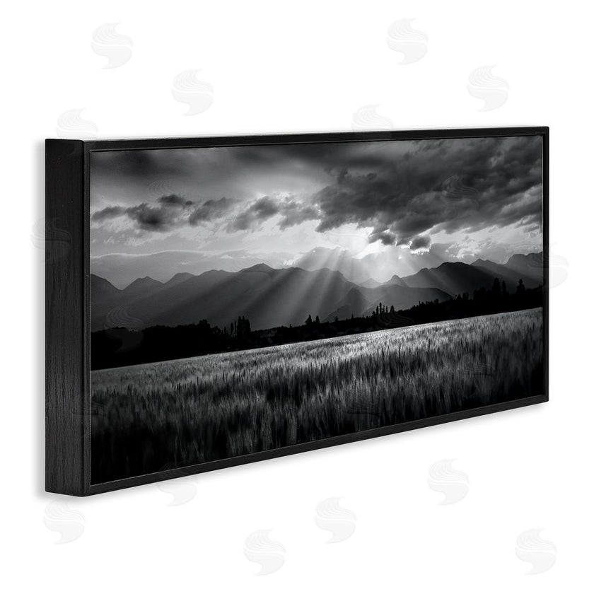 Steve Toole | Sun Rays Field Landscape