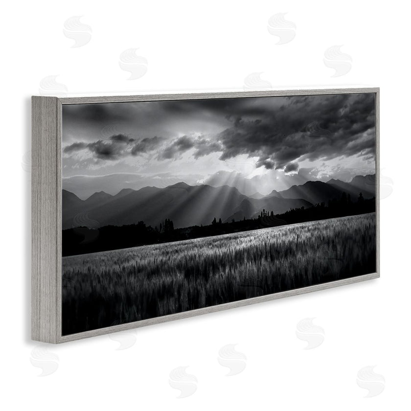 Steve Toole | Sun Rays Field Landscape