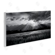 Steve Toole | Sun Rays Field Landscape