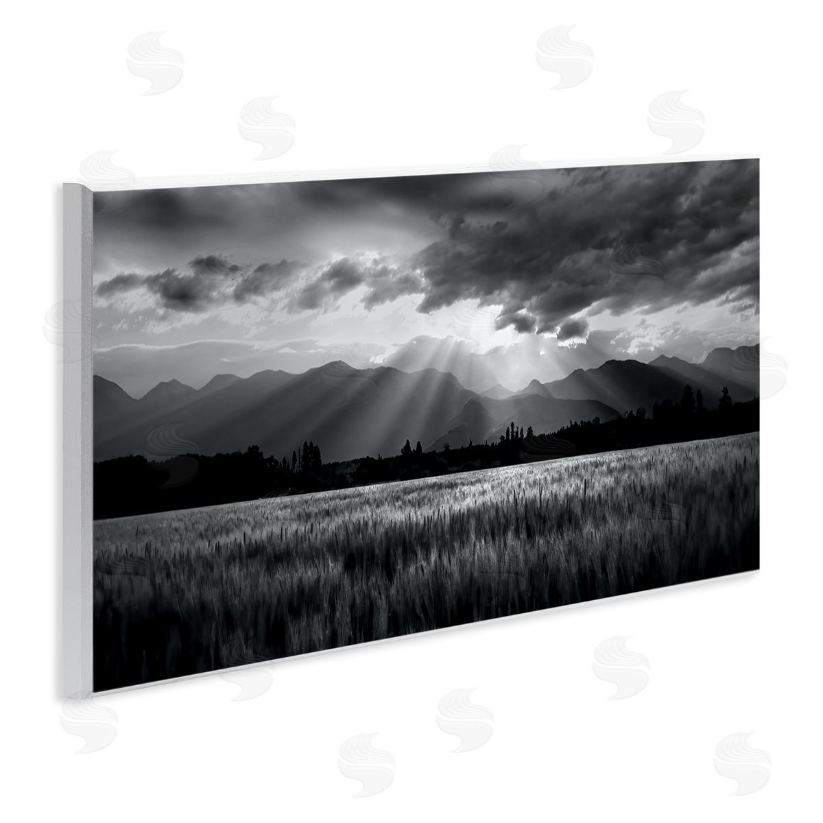 Steve Toole | Sun Rays Field Landscape