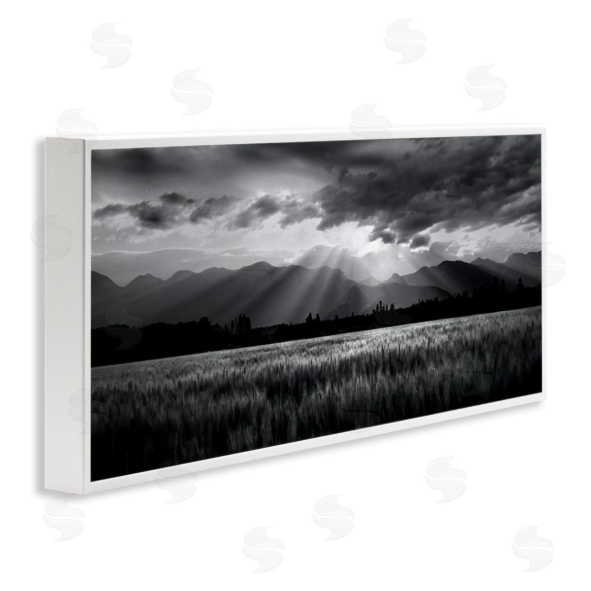Steve Toole Sun Rays Field Landscape White Framed Giclee Wall Artside_