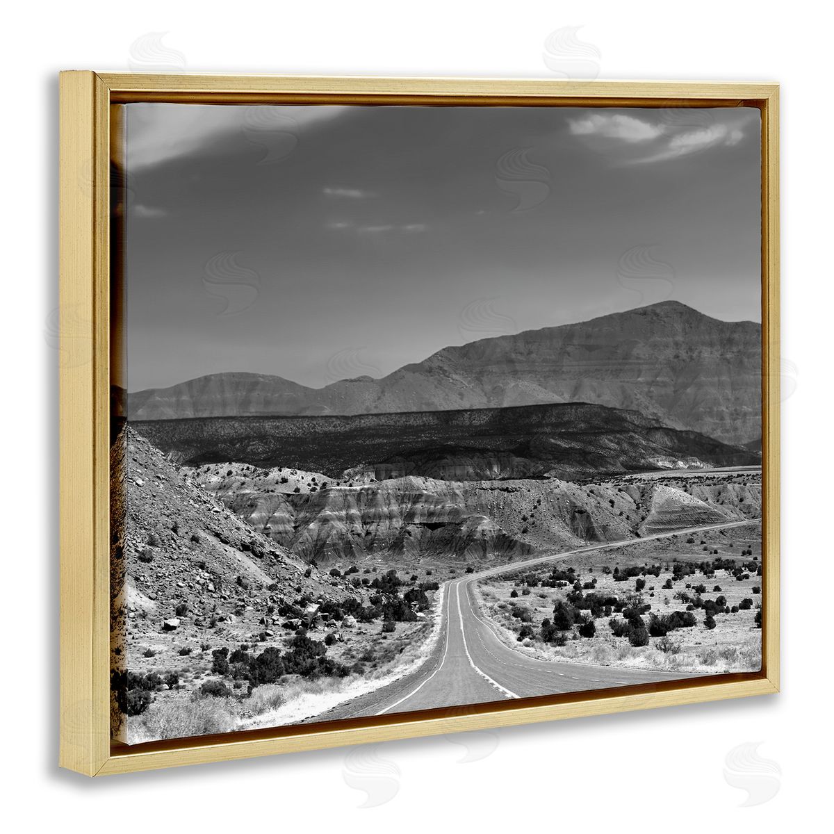 Steve Toole | Desert Canyon Road