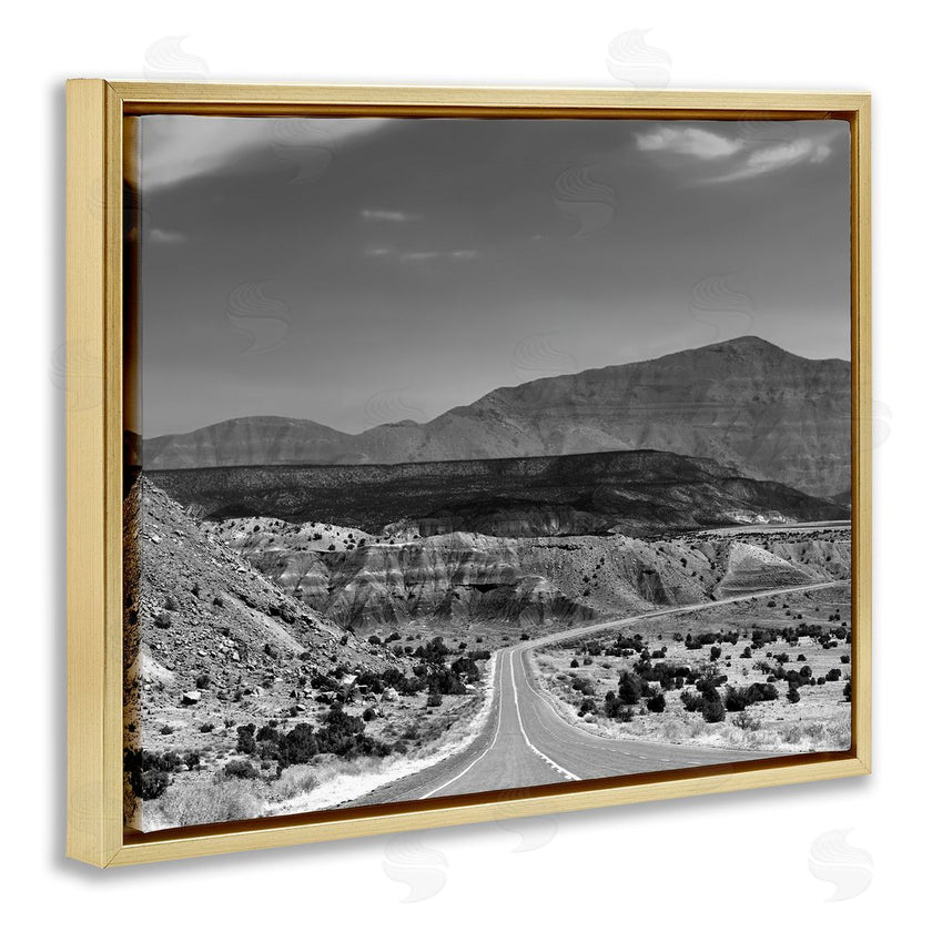 Steve Toole | Desert Canyon Road
