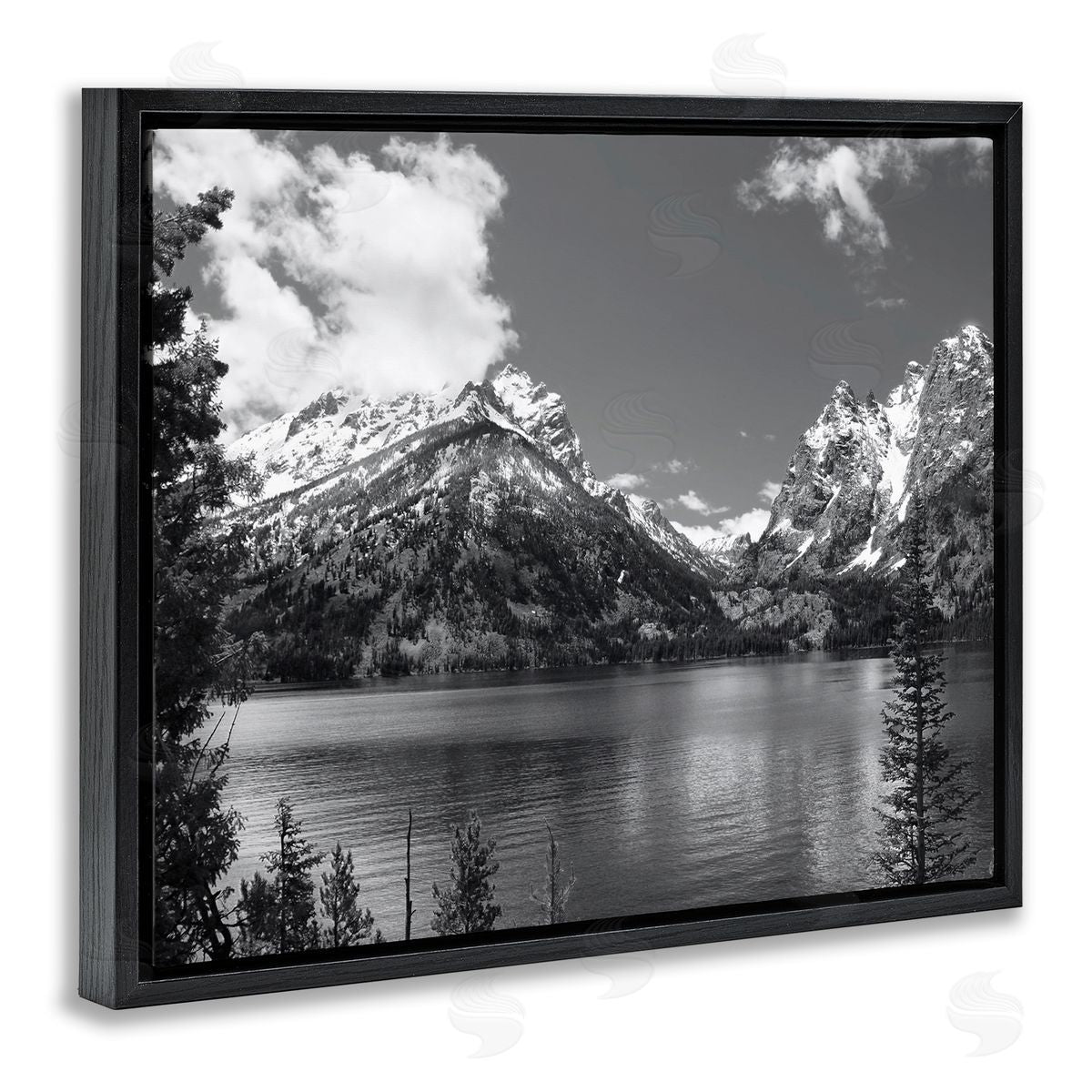Steve Toole Nature Pond Landscape Black Floater Frame Canvas Artside_