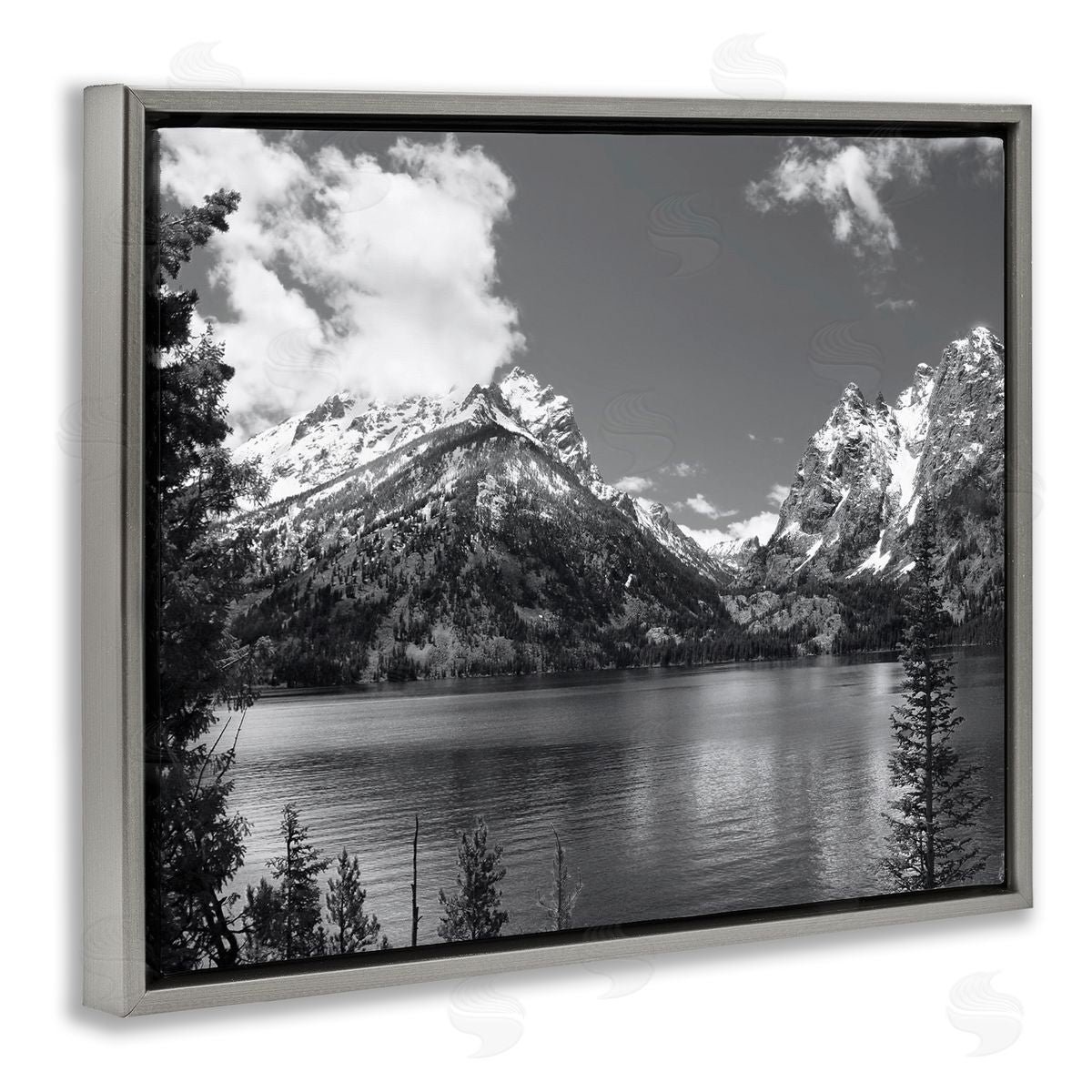 Steve Toole Nature Pond Landscape Gray Floater Frame Canvas Artside_